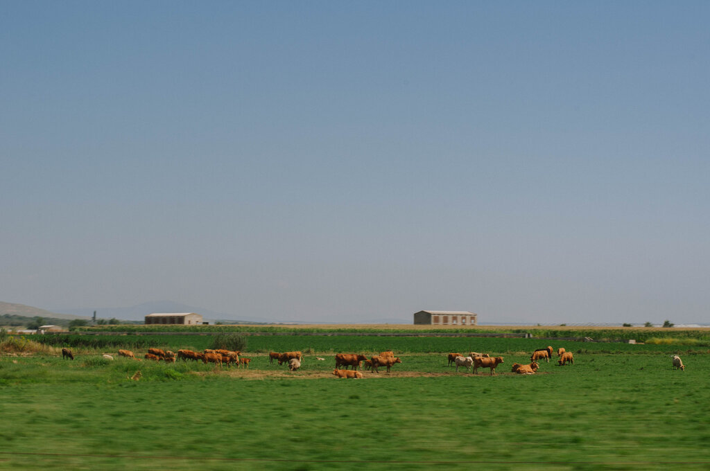 Voyage-en-Espagne-dans -les-terres