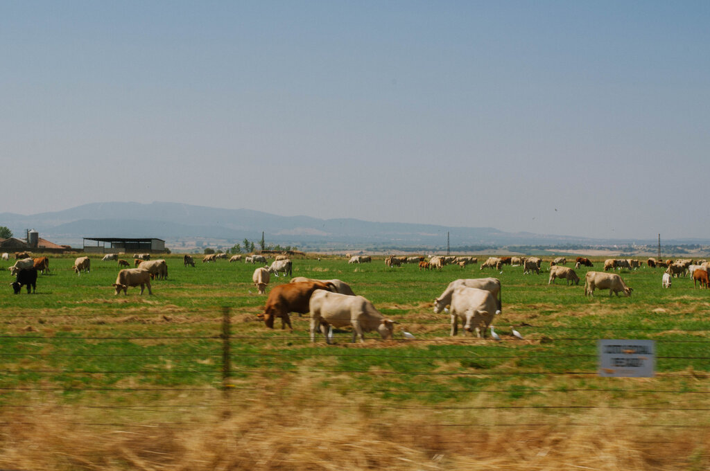 Voyage-en-Espagne-dans -les-terres